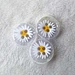 Shirt Round Resin Button